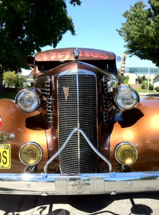 265876_123502464401121_7660600_o